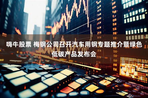 嗨牛股票 梅钢公司召开汽车用钢专题推介暨绿色低碳产品发布会