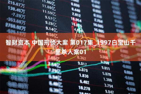 智财资本 中国刑侦大案 第017集_1997白宝山千里杀人案01