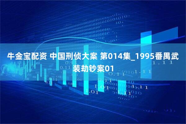 牛金宝配资 中国刑侦大案 第014集_1995番禺武装劫钞案01