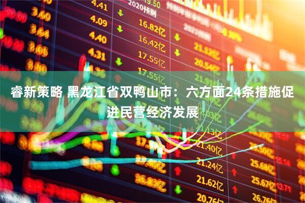 睿新策略 黑龙江省双鸭山市：六方面24条措施促进民营经济发展